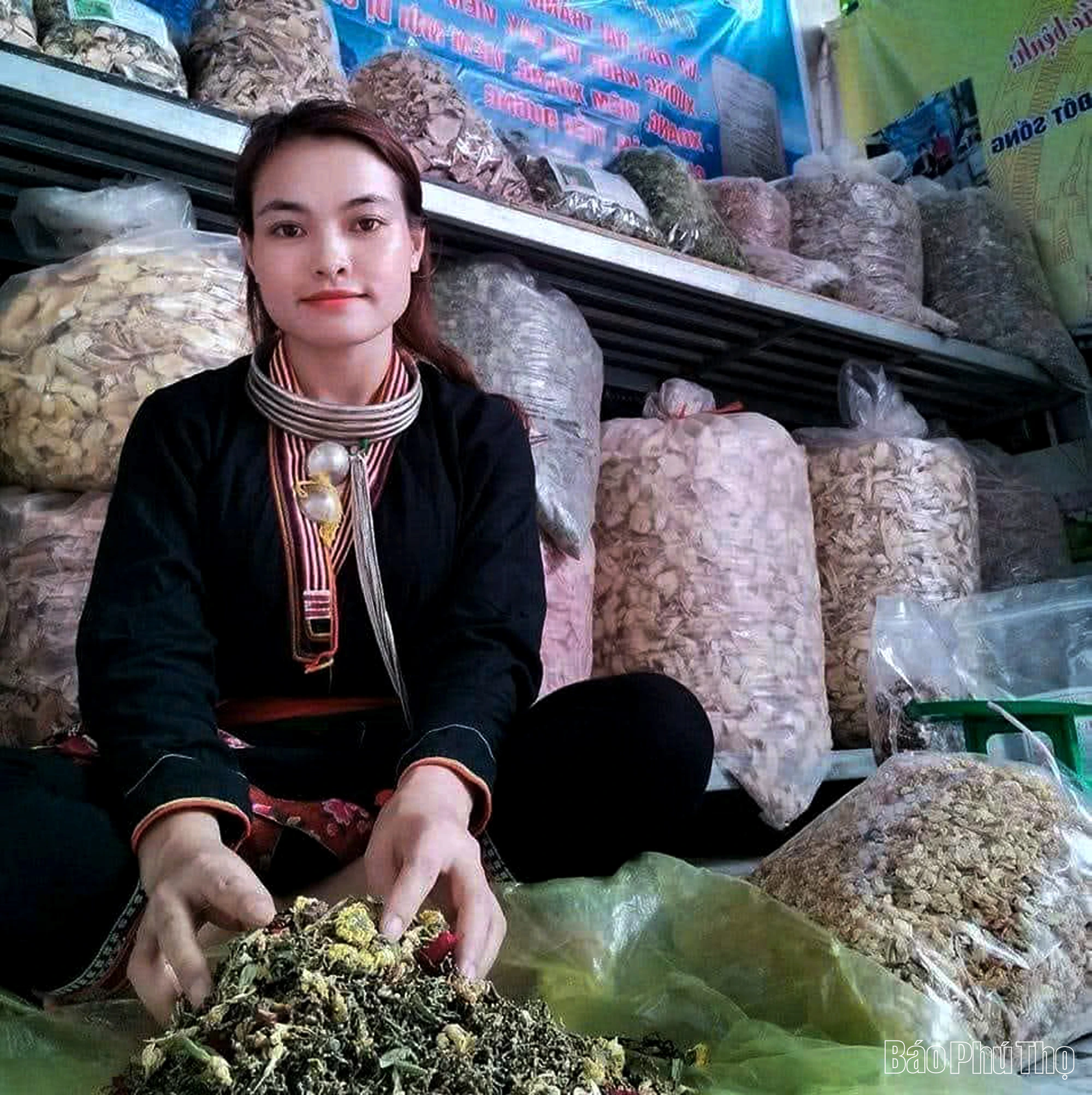 Người Dao phường Thống Nhất: Từ nghề thuốc Nam đến khởi nghiệp xanh