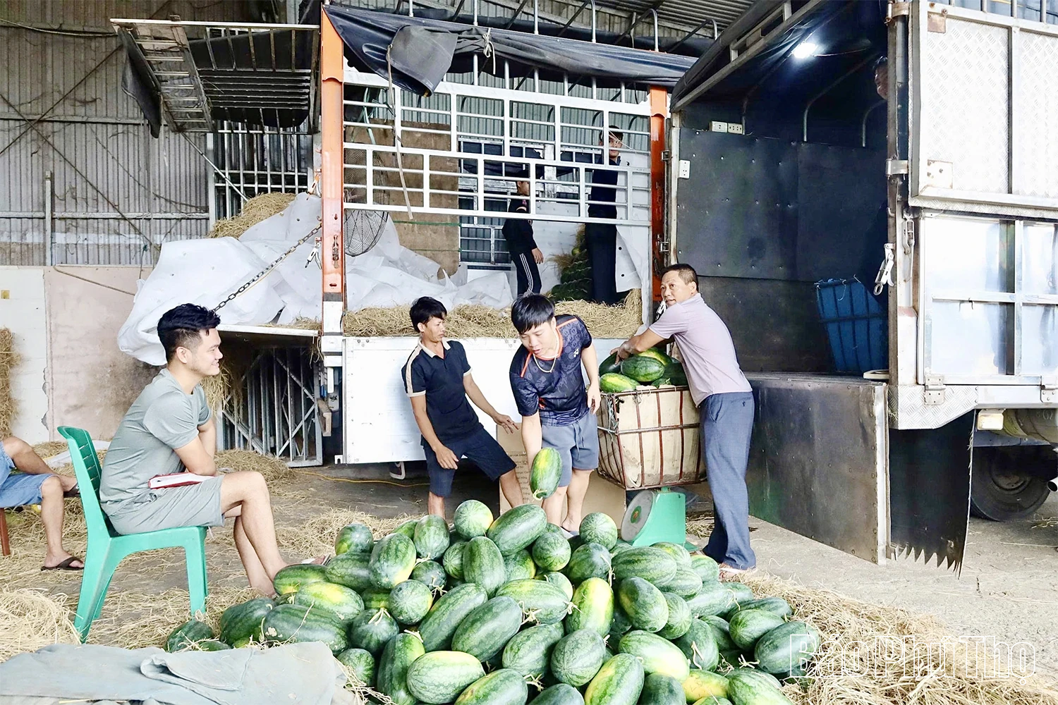 Xã Vĩnh Hưng: Đột phá mở hướng đi mới