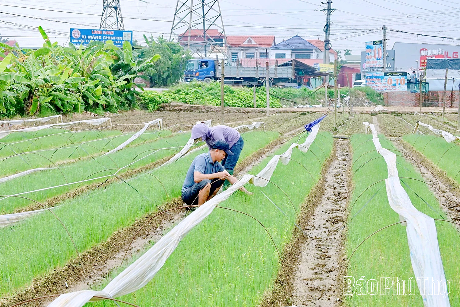 Xã Vĩnh Hưng: Đột phá mở hướng đi mới