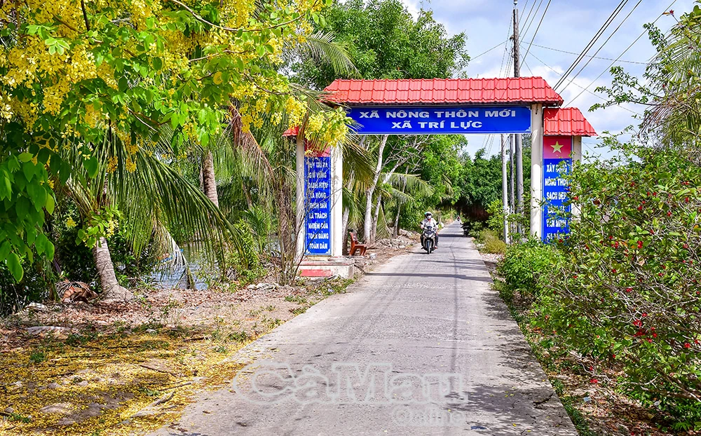 Vị ngọt từ sự đổi thay