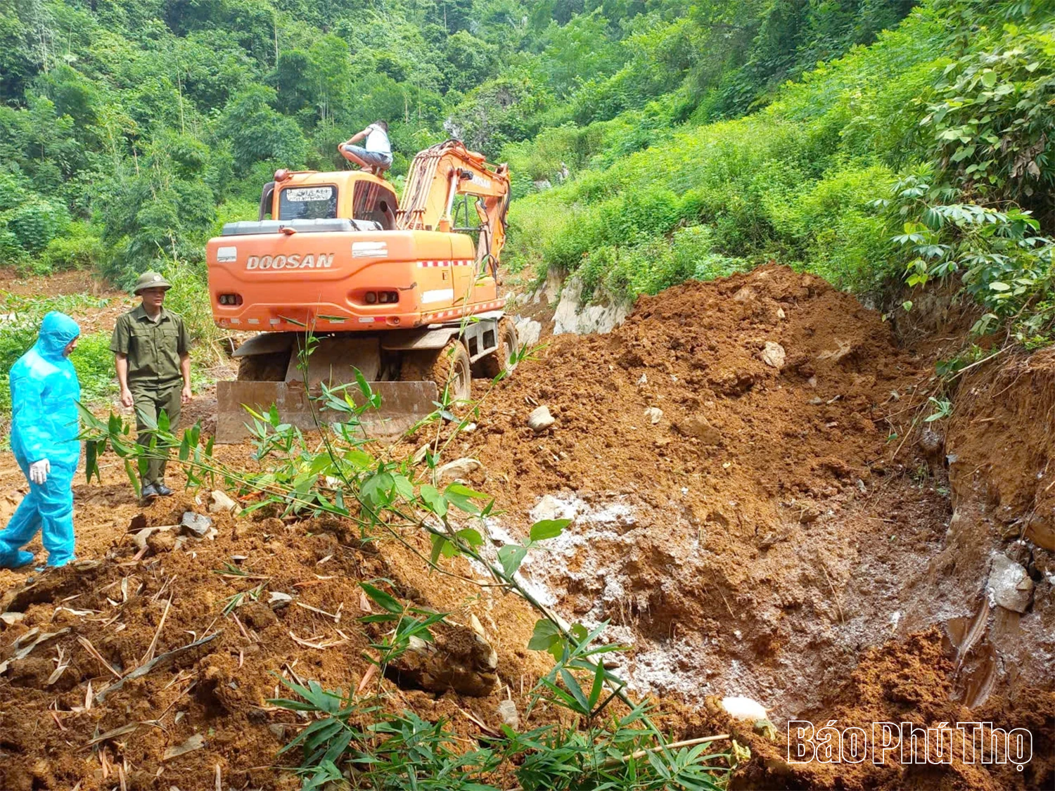 An Nghĩa nỗ lực dập dịch tả lợn châu Phi
