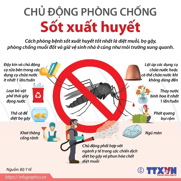 Tăng cường công tác phòng, chống dịch bệnh Sốt xuất huyết