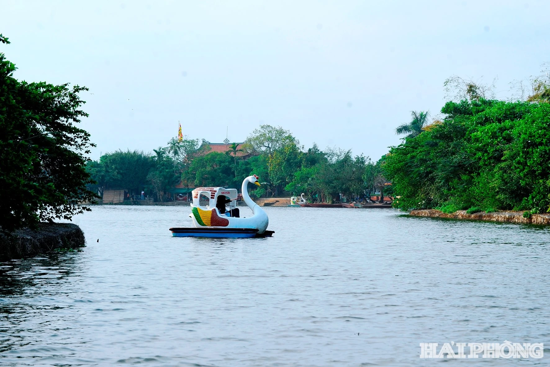 Diện mạo mới ở Đảo Cò Nam Thanh Miện