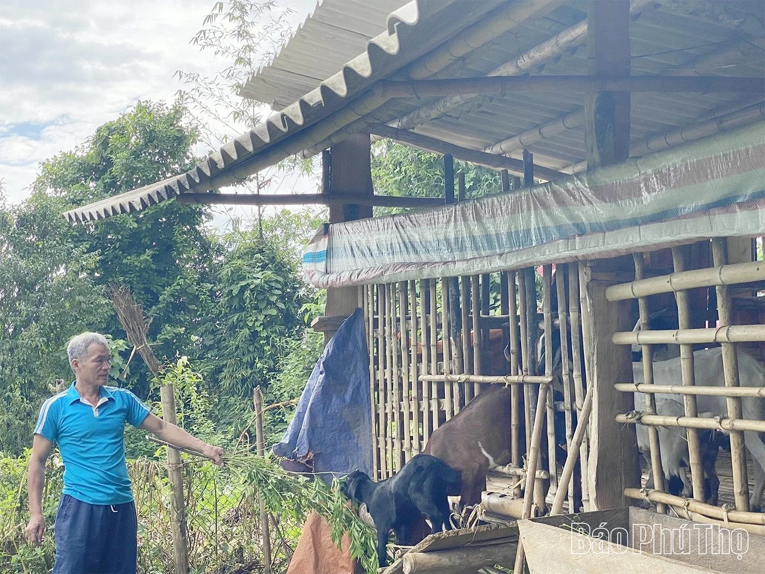 Trăn trở Mường Hoa