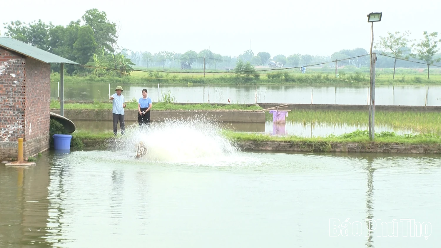 Công nghệ nông nghiệp thông minh: Lời hứa và thách thức từ ao cá