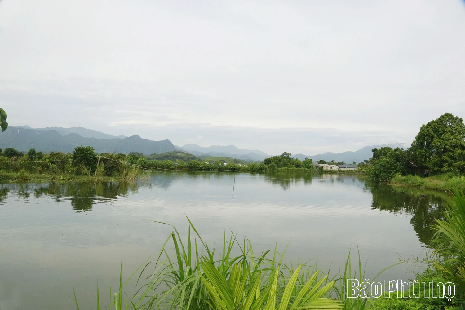 Sức trẻ khai phá, đất cằn nở hoa