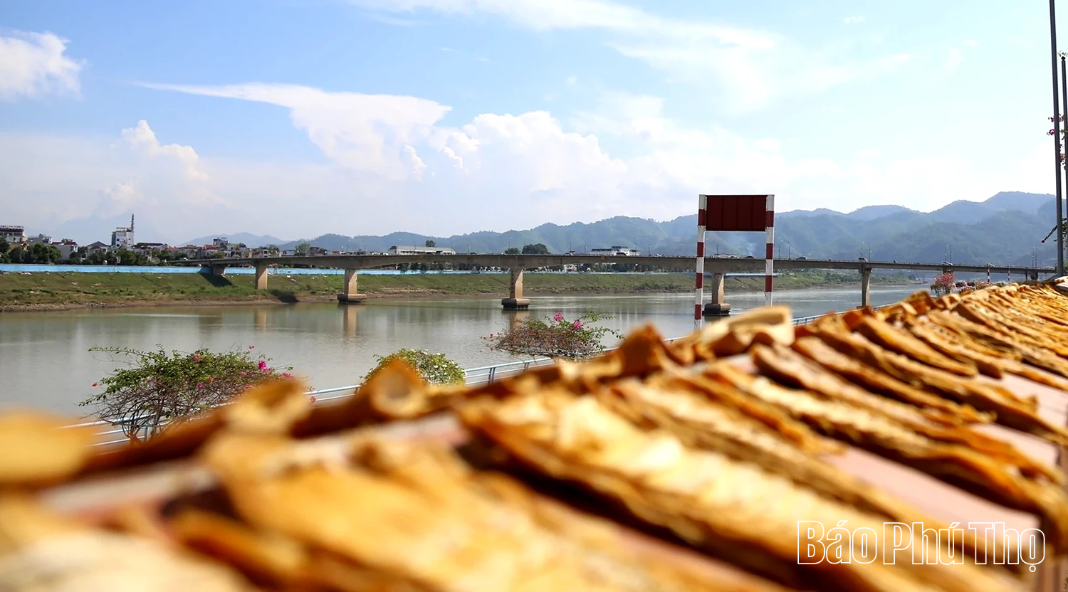 Măng khô Hòa Bình - Chắt chiu vị nắng, gói trọn hương rừng