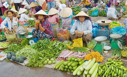 Giá cả thị trường ngày 23 /7 /2025