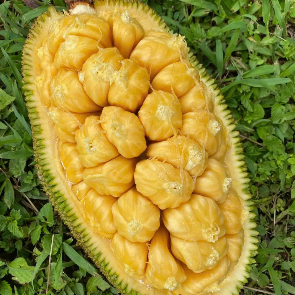 Giá cả thị trường ngày 30/7/2025
