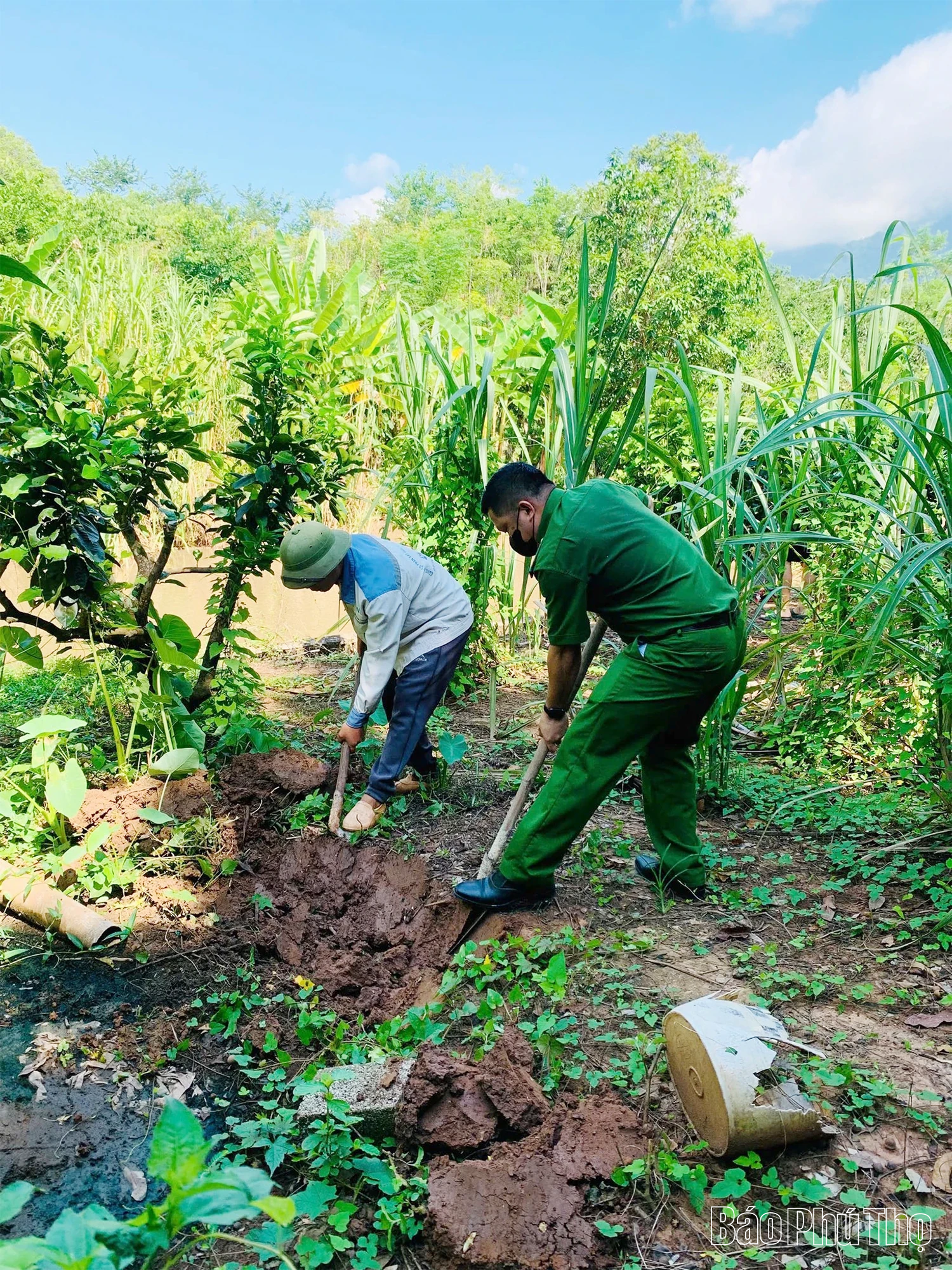 Xã Bao La phát hiện, xử lý hộ dân tự ý giết mổ lợn tại vùng dịch