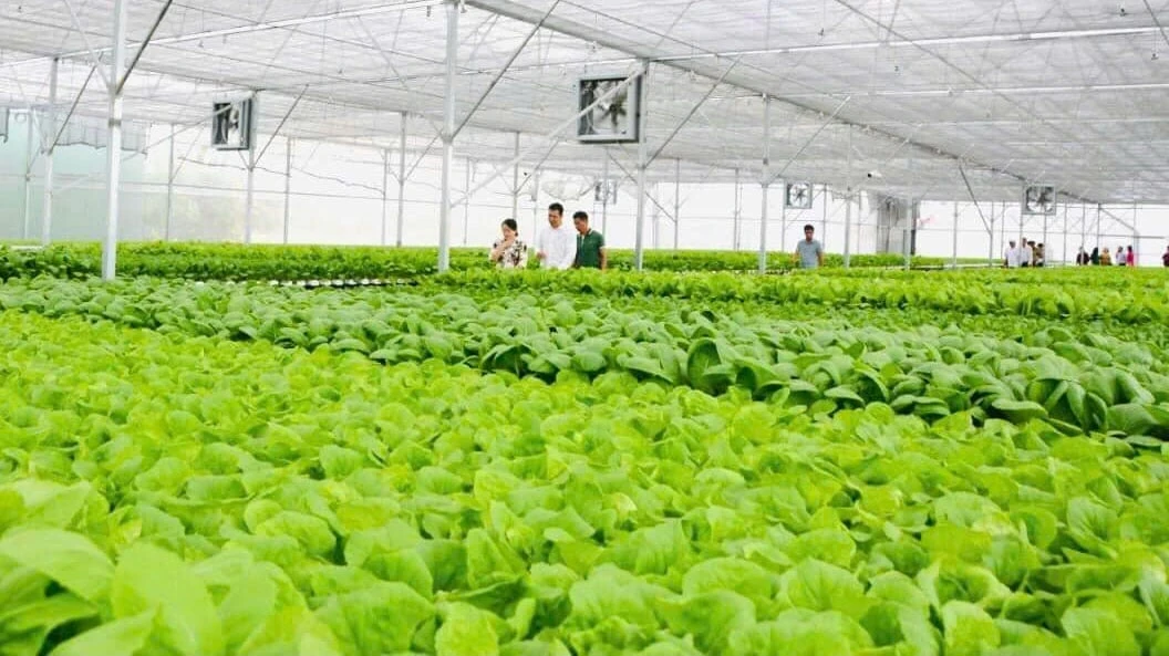 Tây Ninh hướng tới trung tâm nông nghiệp công nghệ cao hàng đầu khu vực