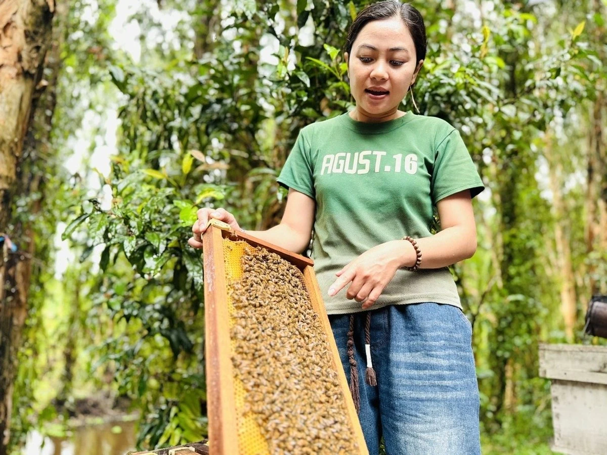 Nuôi ong VietGAHP trong rừng tràm Trà Sư