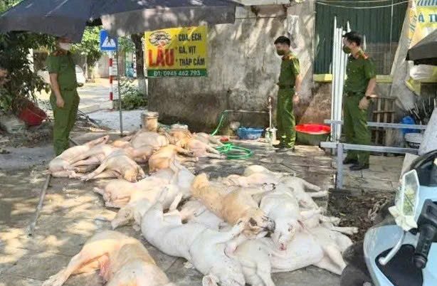 Quyết liệt cuộc chiến chống thực phẩm bẩn