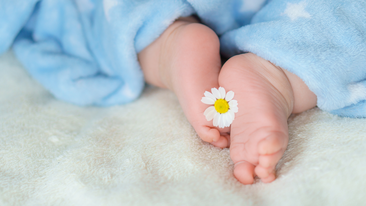 4 giai đoạn vàng trong 1000 ngày đầu đời của bé cha mẹ cần biết