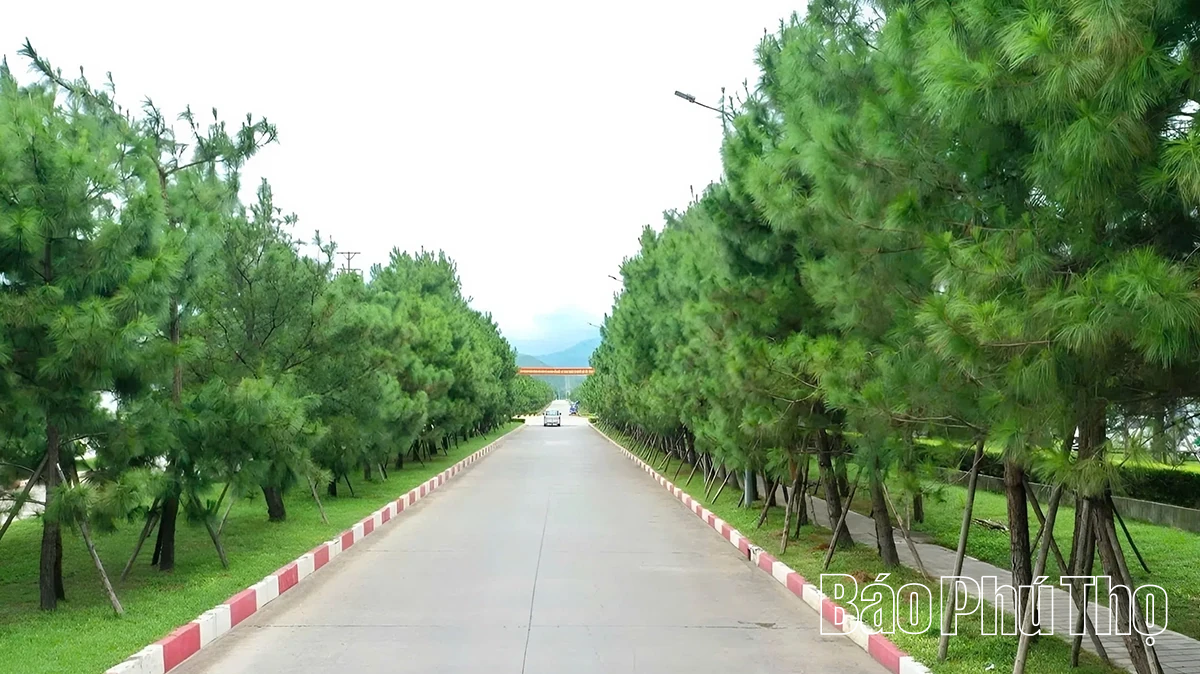 Từ “vùng đất hoang” đến thỏi nam châm hút FDI: Câu chuyện Bá Thiện II và vị thế mới của Phú Thọ