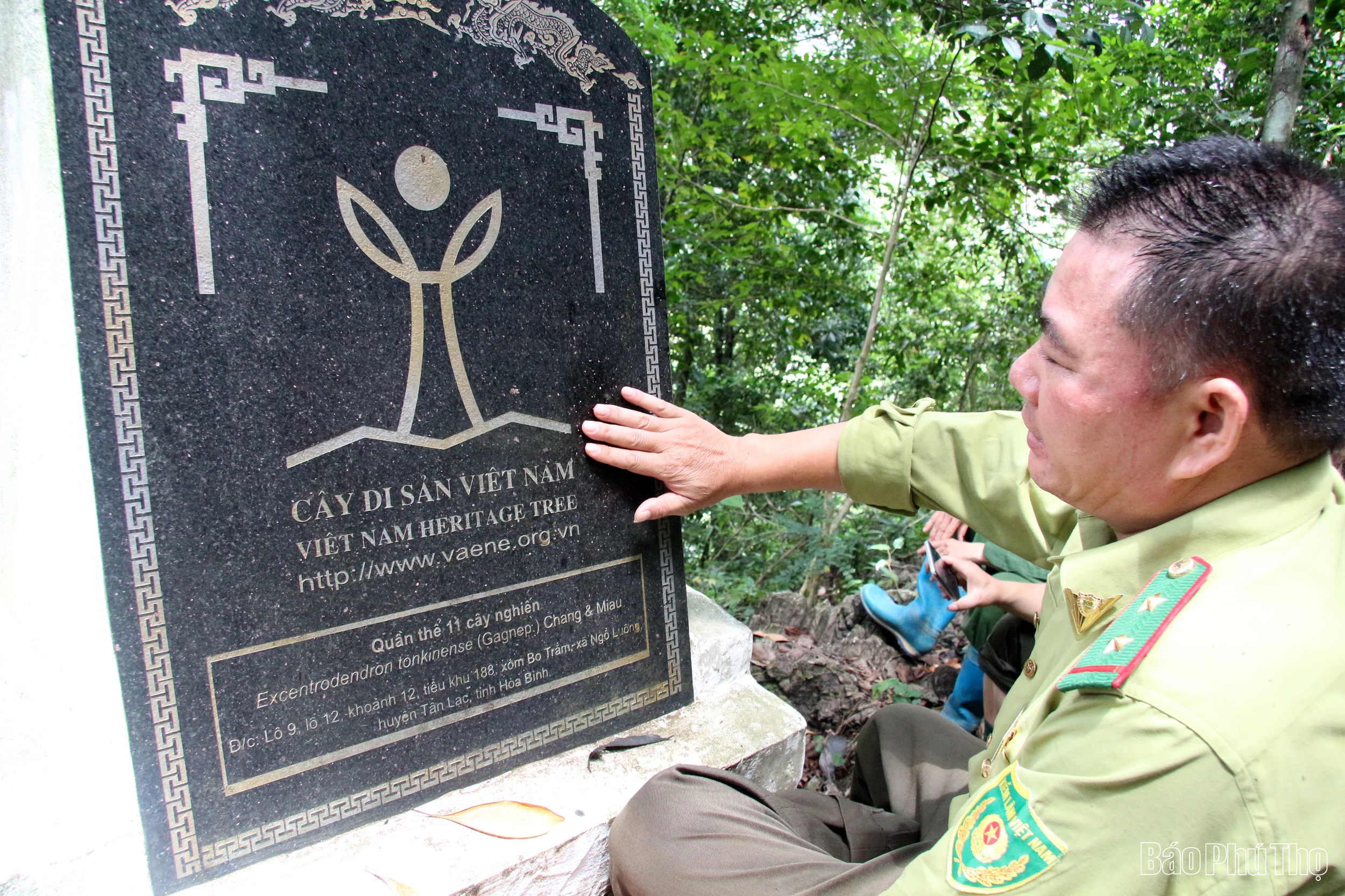 “Linh khí” nghìn năm giữa đại ngàn Bo Trẳm