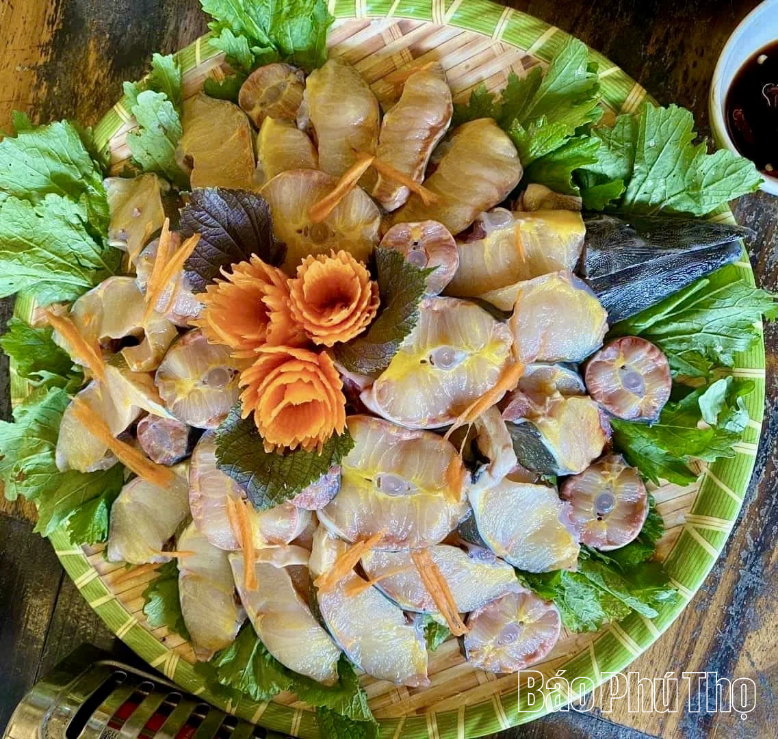 Cá tầm ngoại tràn lan, người nông dân điêu đứng