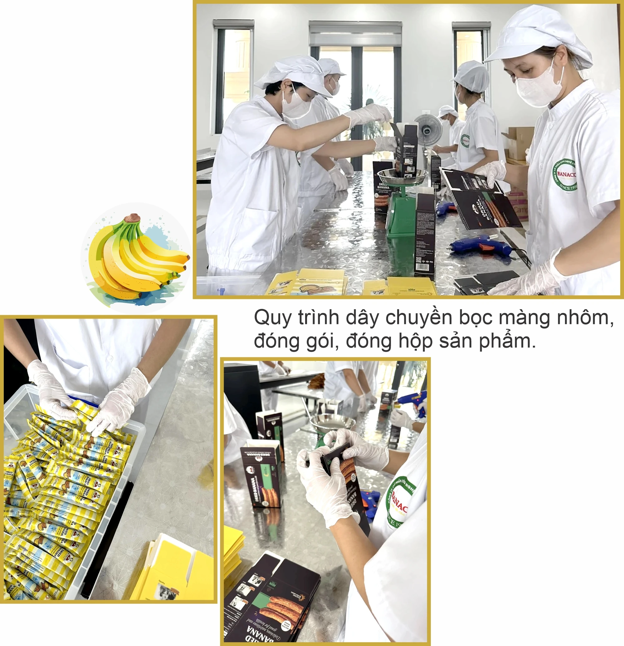 Đưa chuối sấy... xuất ngoại