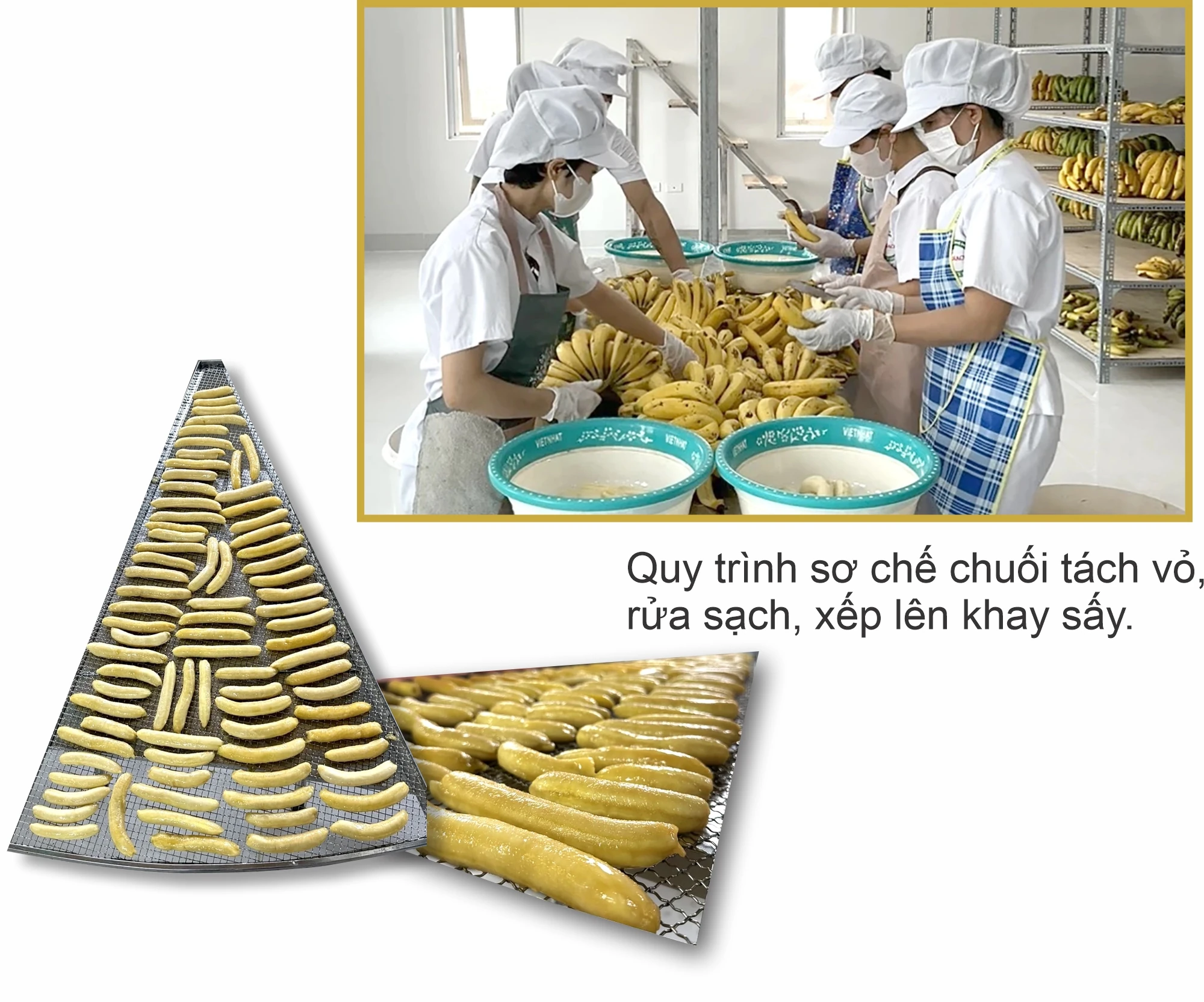 Đưa chuối sấy... xuất ngoại