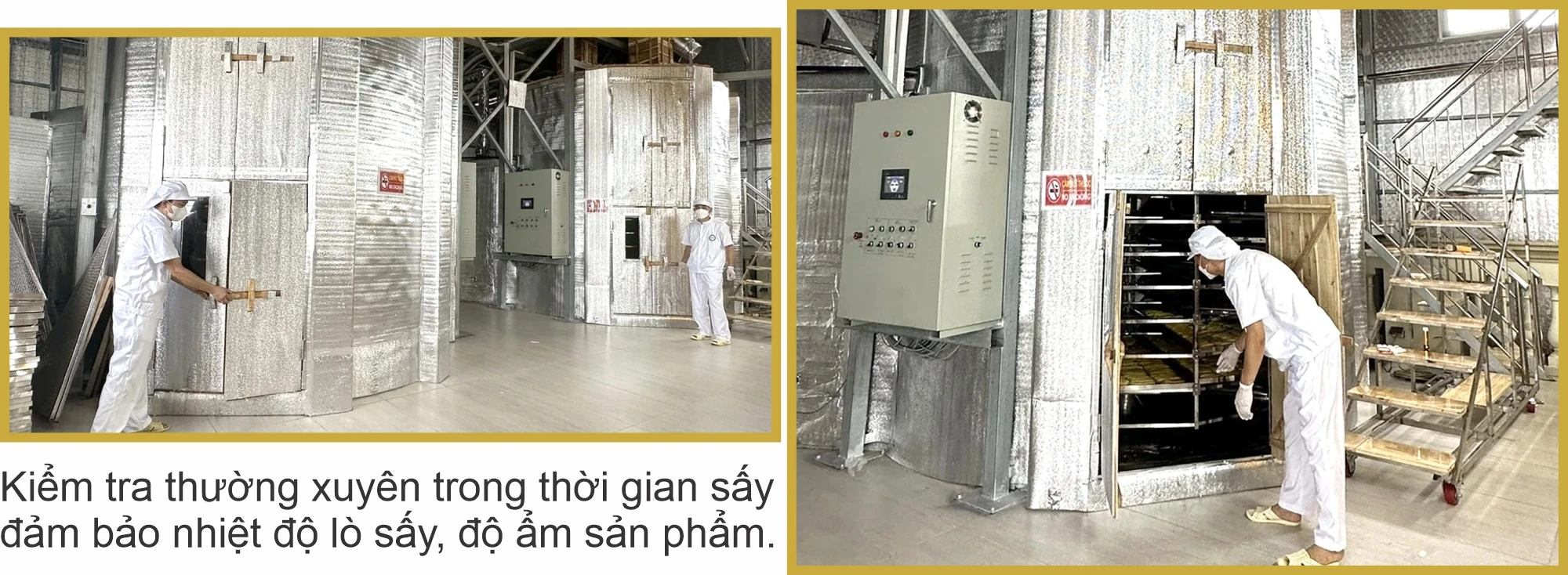 Đưa chuối sấy... xuất ngoại