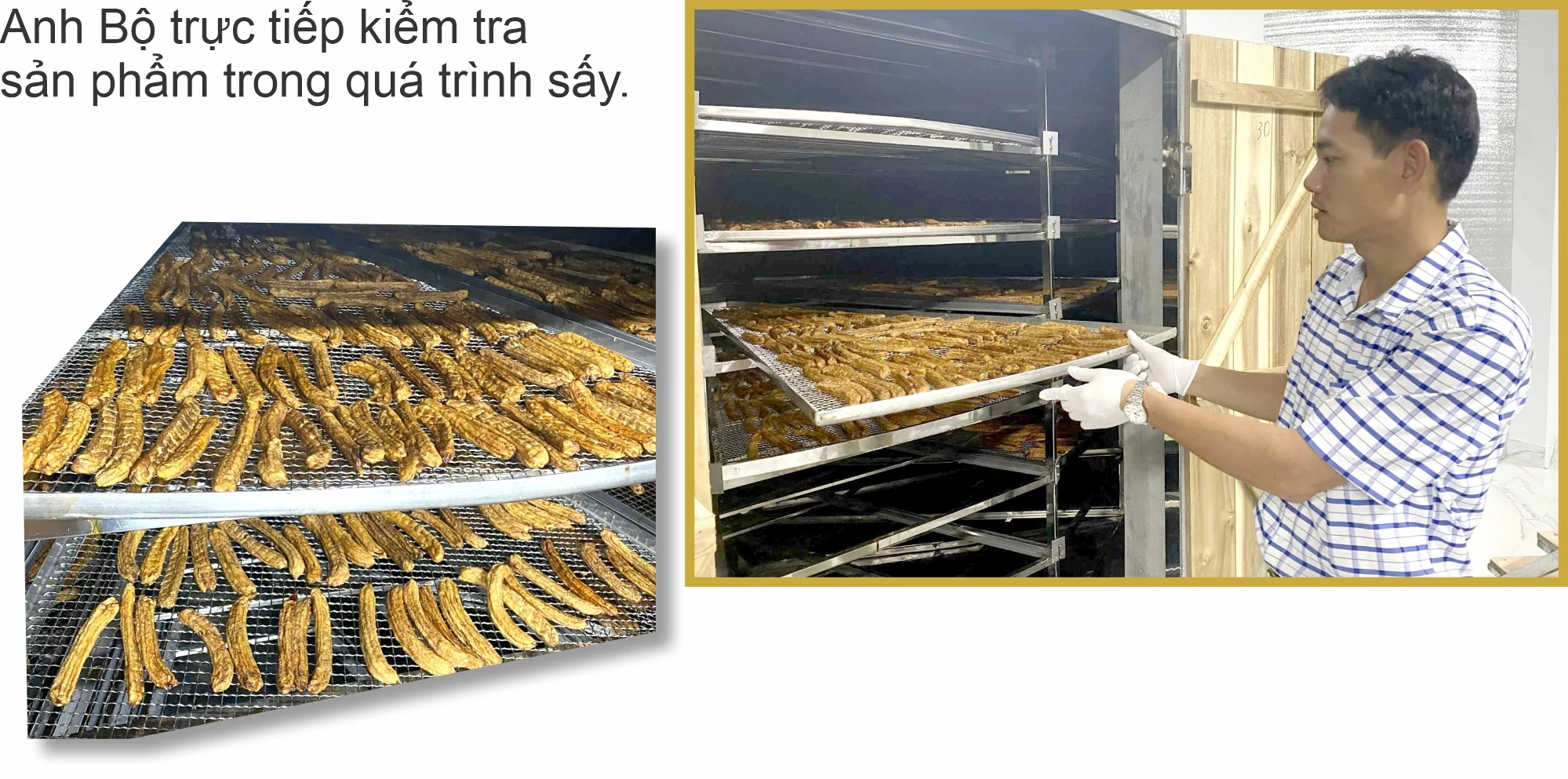 Đưa chuối sấy... xuất ngoại