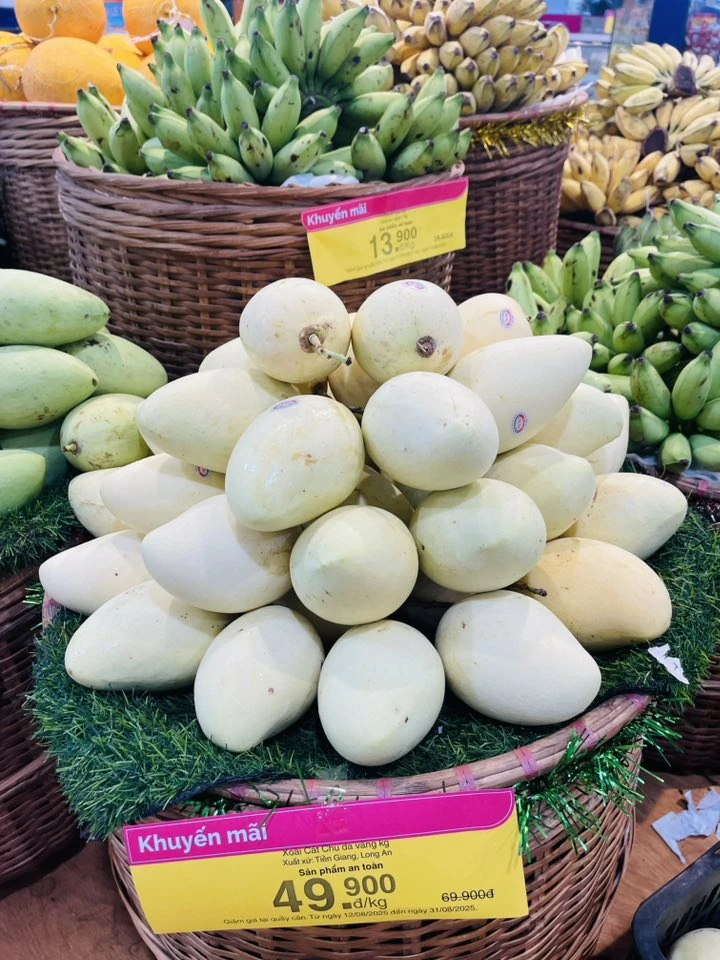 Giá cả thị trường ngày 19/8/2025