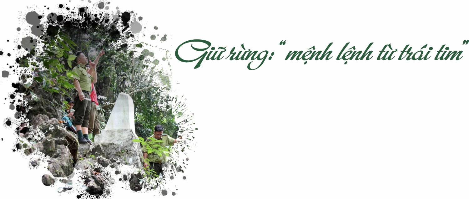 “Linh khí” nghìn năm giữa đại ngàn Bo Trẳm