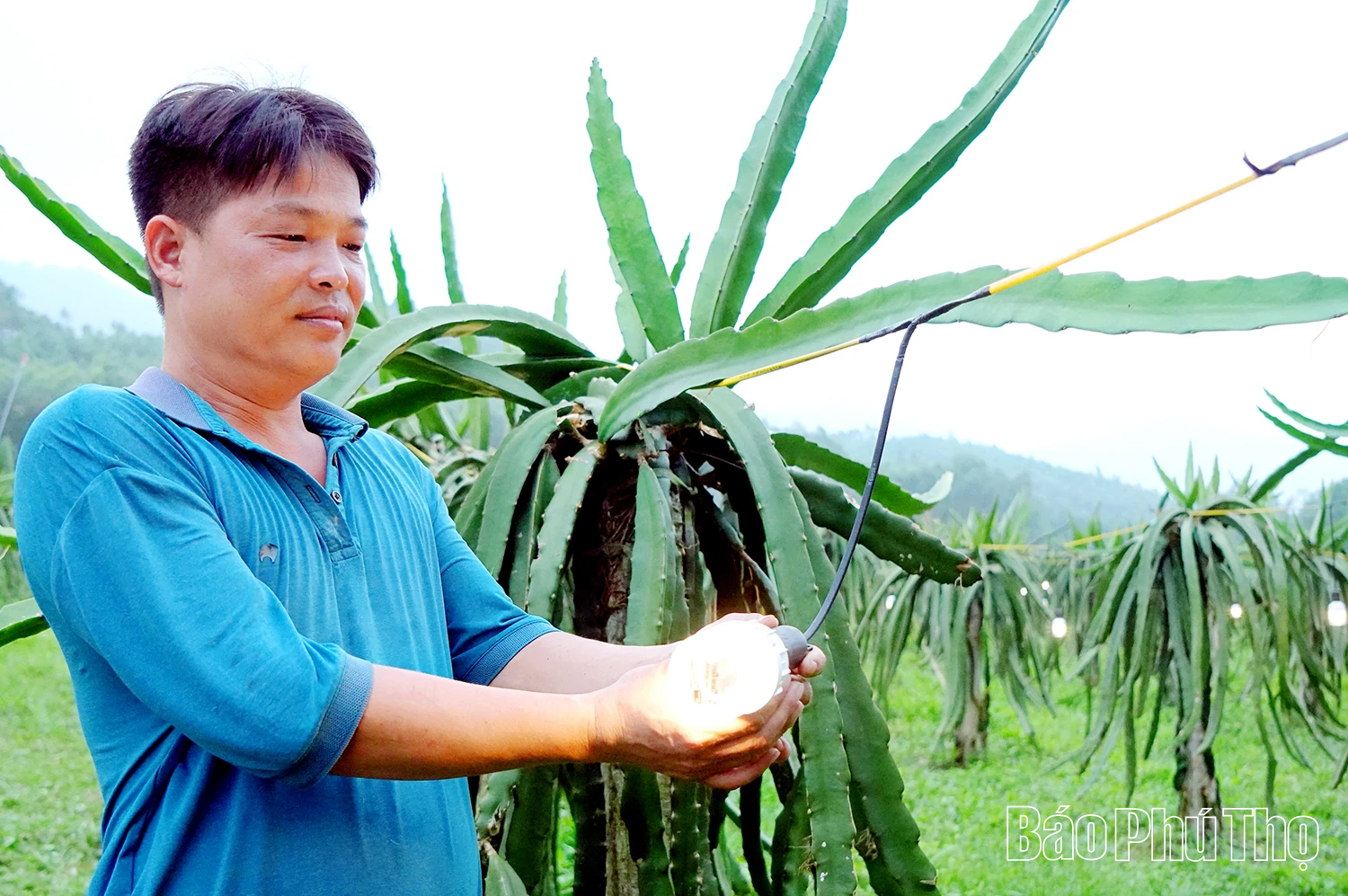 Đổi thay ở vùng quê cách mạng Hợp Lý