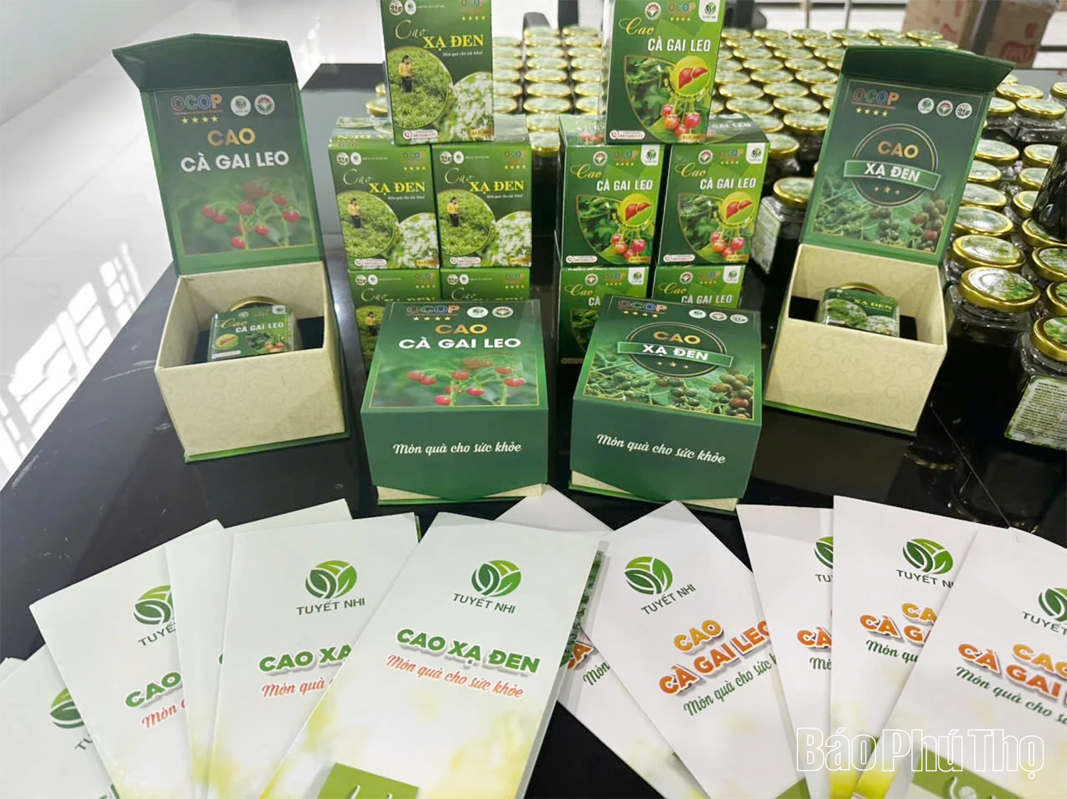 Nâng tầm giá trị dược liệu