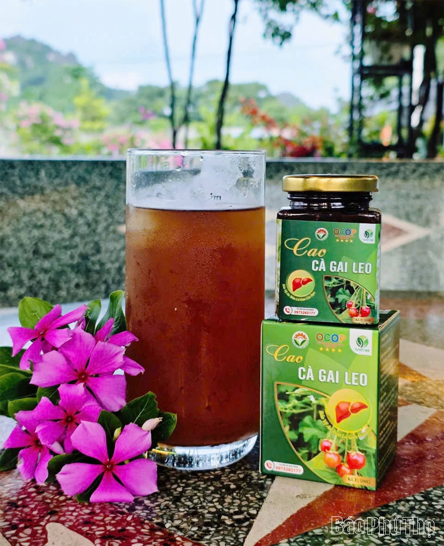 Nâng tầm giá trị dược liệu