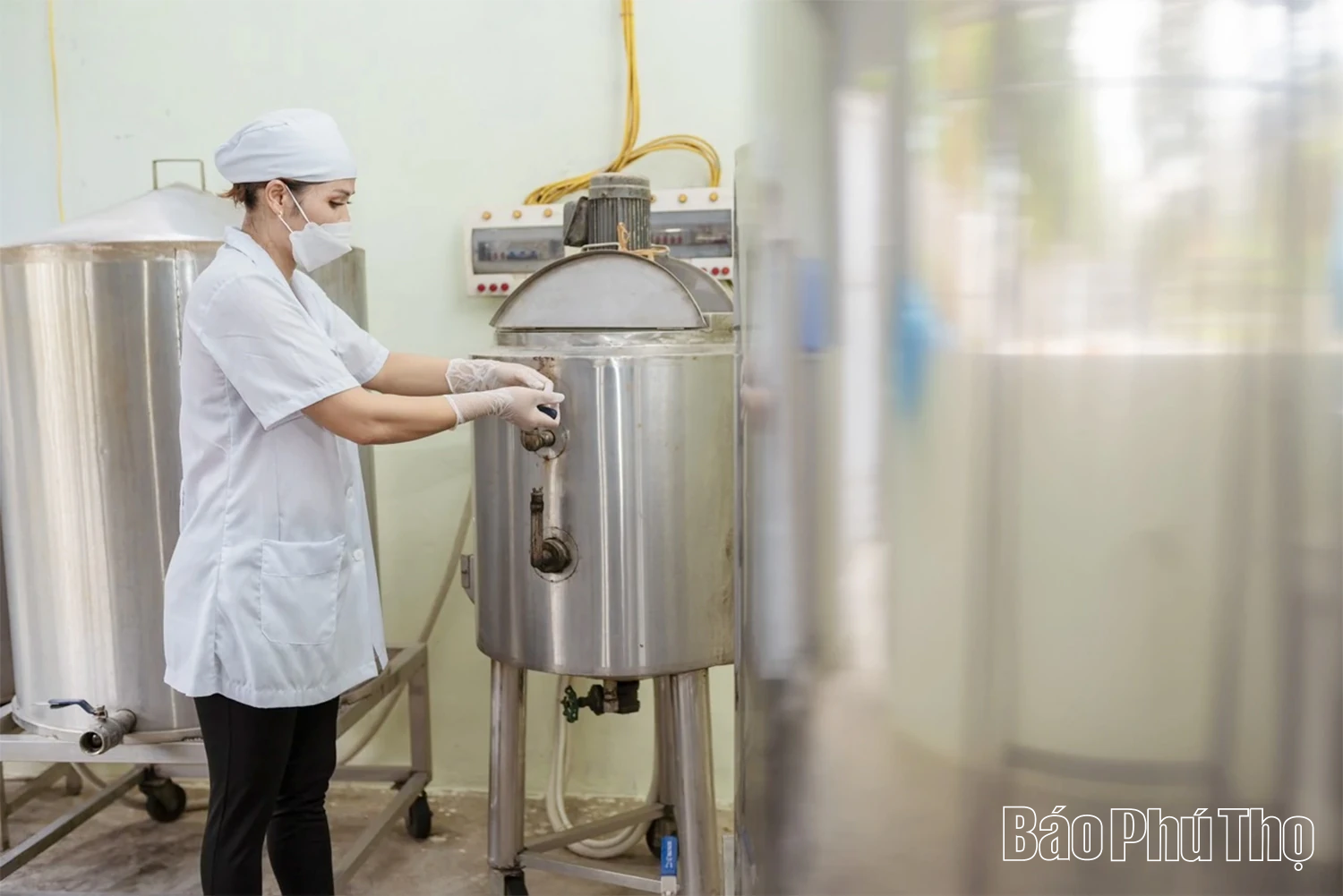 Nâng tầm giá trị dược liệu