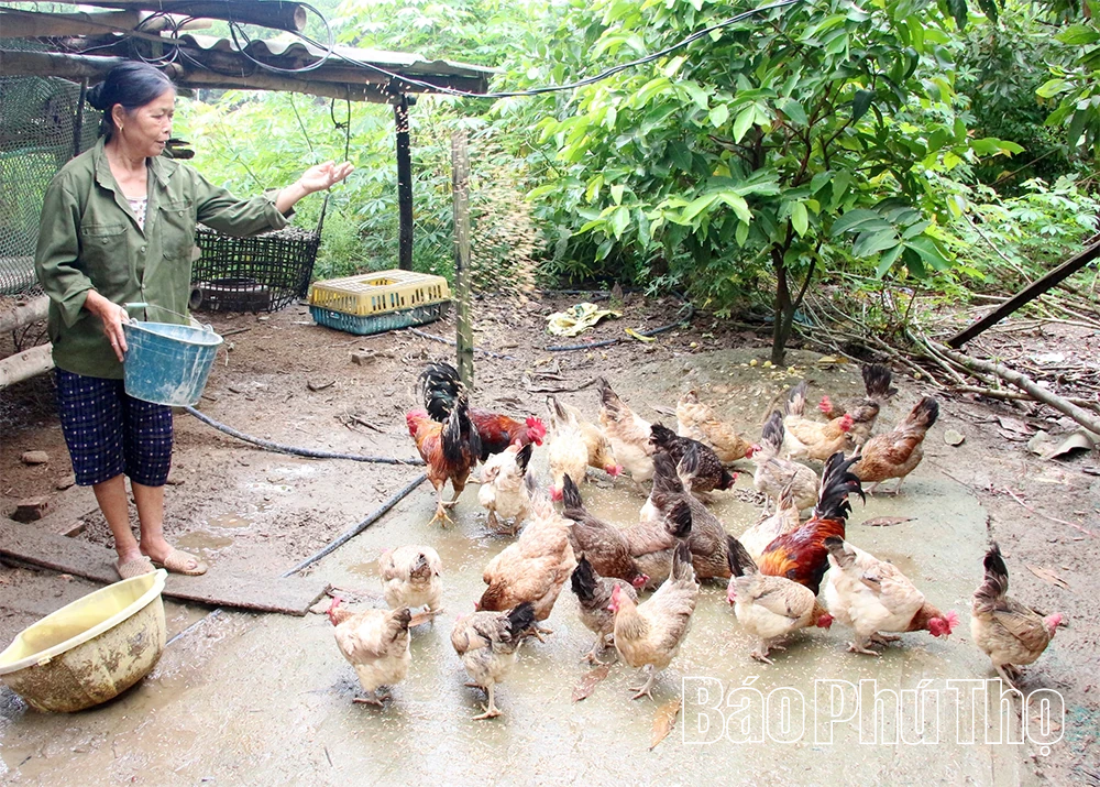 Dấu ấn của những hy sinh lặng thầm