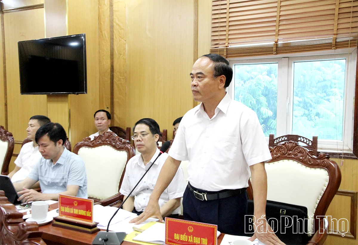 Đoàn ĐBQH tỉnh khảo sát việc thực hiện các nghị quyết về sắp xếp đơn vị hành chính tại xã Tam Đảo