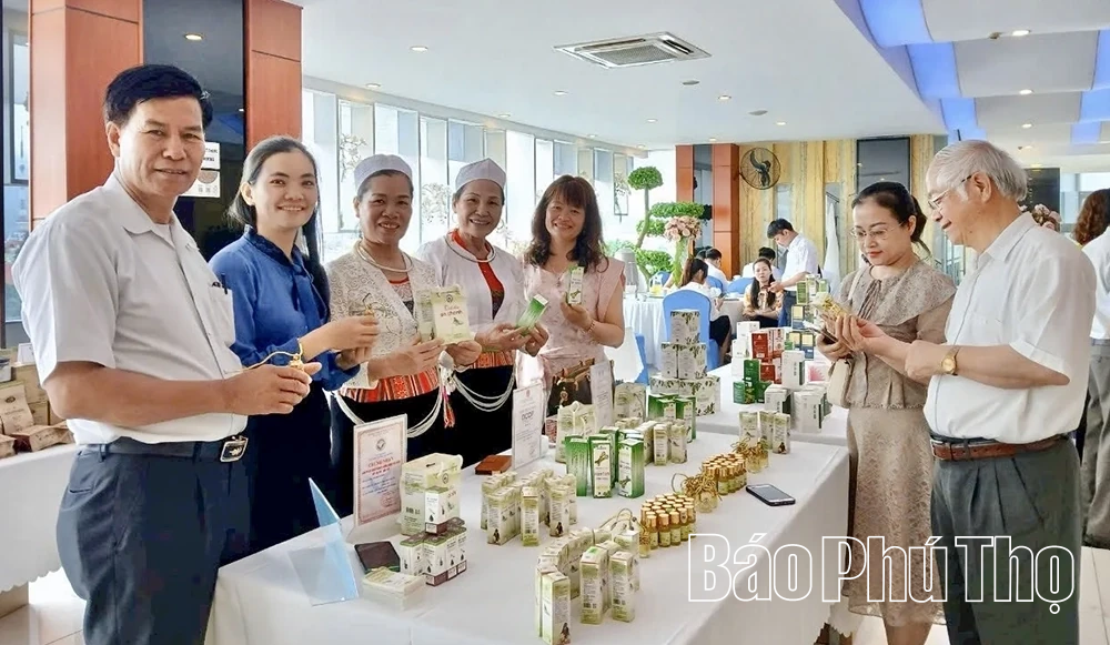 Phường Thống Nhất ổn định tổ chức Đảng sau sáp nhập