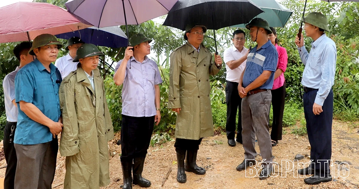 Chủ tịch UBND tỉnh Trần Duy Đông thăm Khu căn cứ cách mạng Mường Diềm, tặng quà cán bộ tiền khởi nghĩa phường Hòa Bình