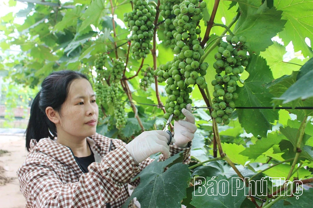 Nông dân thời công nghệ