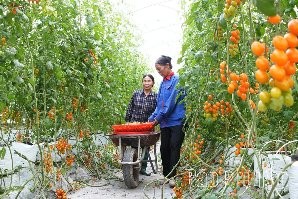 Nông dân thời công nghệ