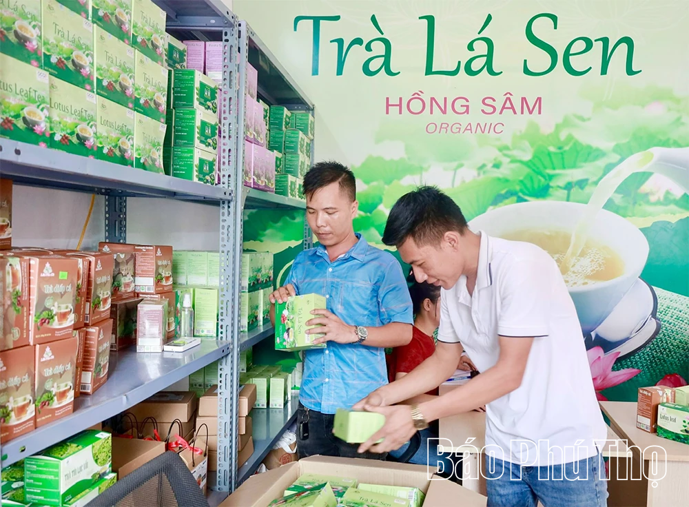 Tăng giá trị nông sản theo tiêu chuẩn VietGAP
