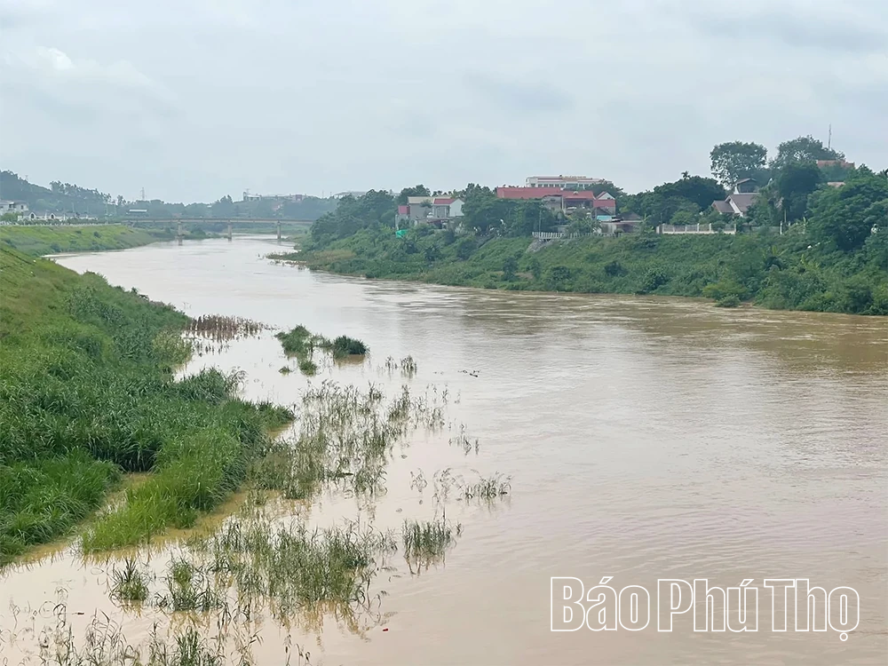 Ra lệnh báo động số I trên sông Bứa