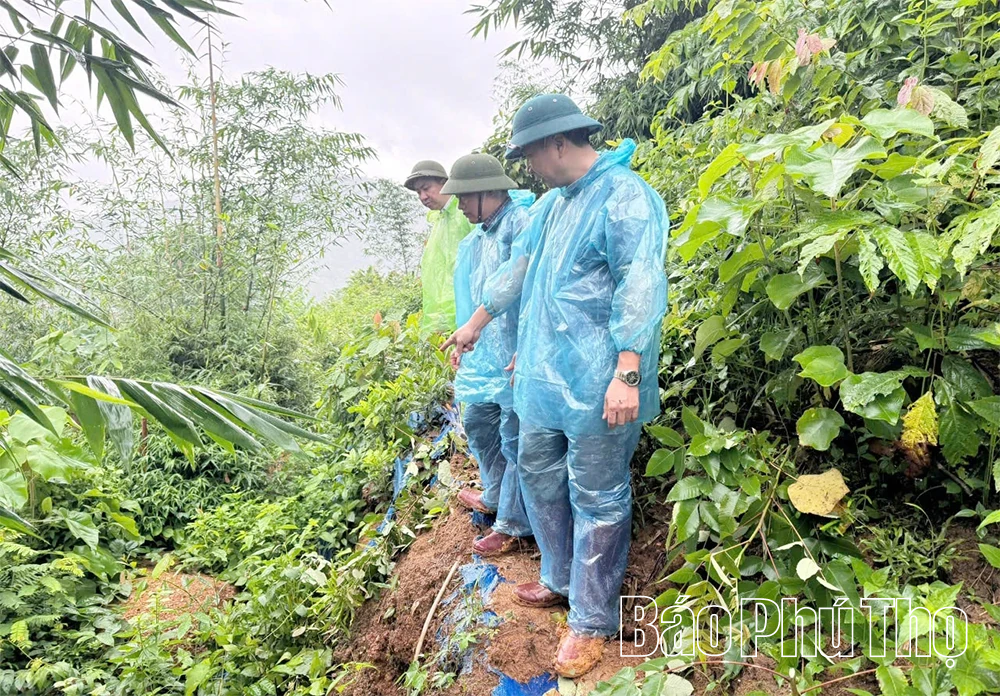 Bão số 5 gây mưa lũ lớn ở Phú Thọ: 1 người bị thương, nhiều công trình hư hại