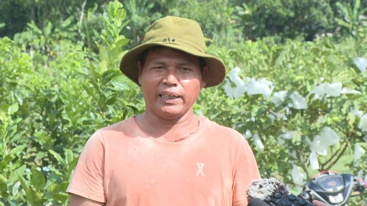 Xanh hóa đồi hoang bằng nông nghiệp thông minh