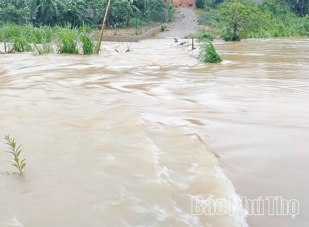 Di dời khẩn cấp hàng trăm hộ ra khỏi khu vực có nguy cơ sạt lở, ngập úng