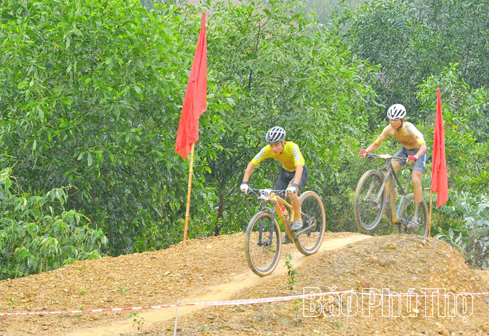 Đoàn Phú Thọ tiếp tục giành 3 Huy chương Bạc, 1 Huy chương đồng