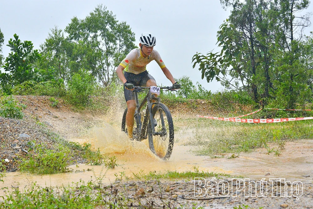 Đoàn Phú Thọ tiếp tục giành 3 Huy chương Bạc, 1 Huy chương đồng