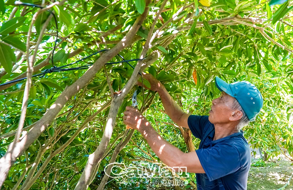 Biển Bạch - Từ đất khó vươn lên ấm no