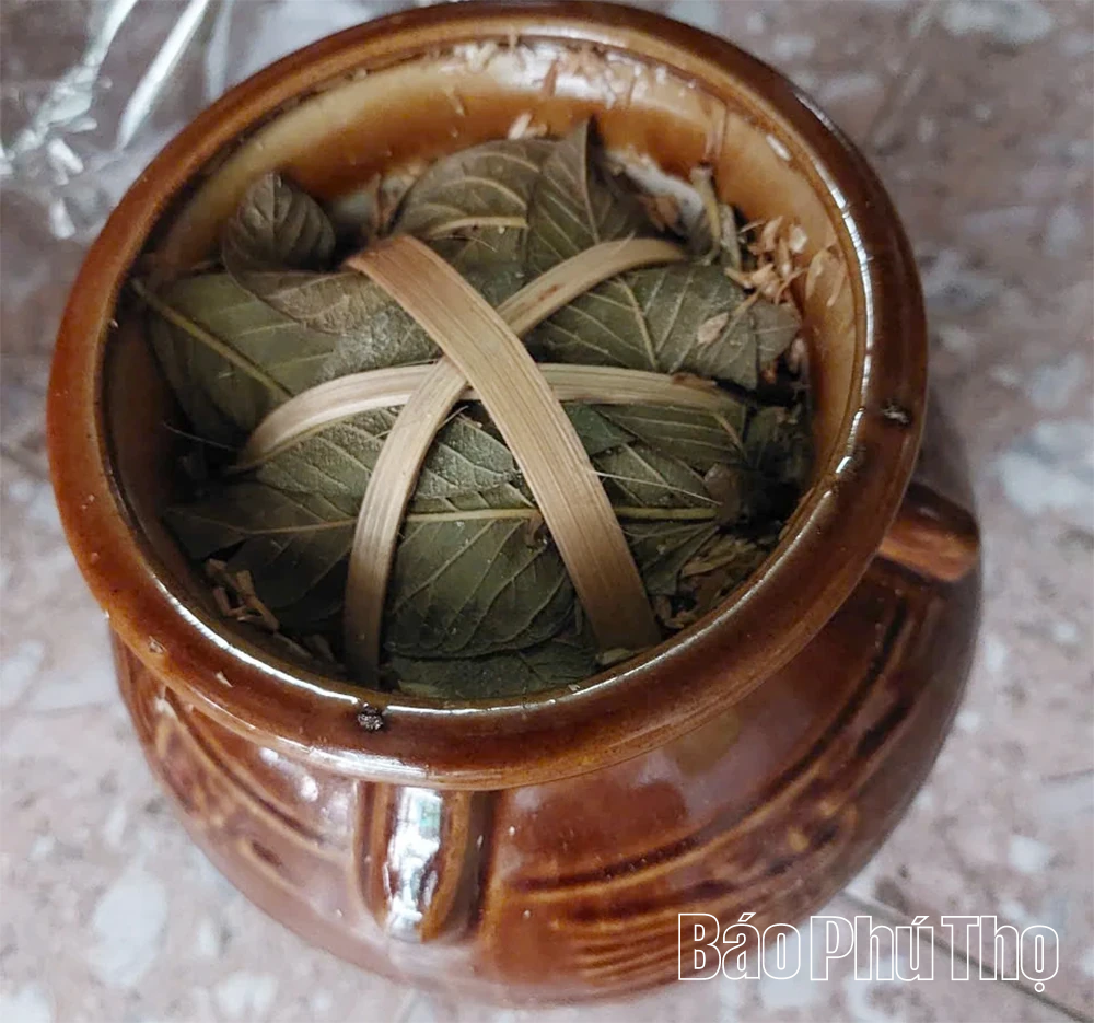 Ngất ngây loại rượu uống bằng cần tre của người Mường