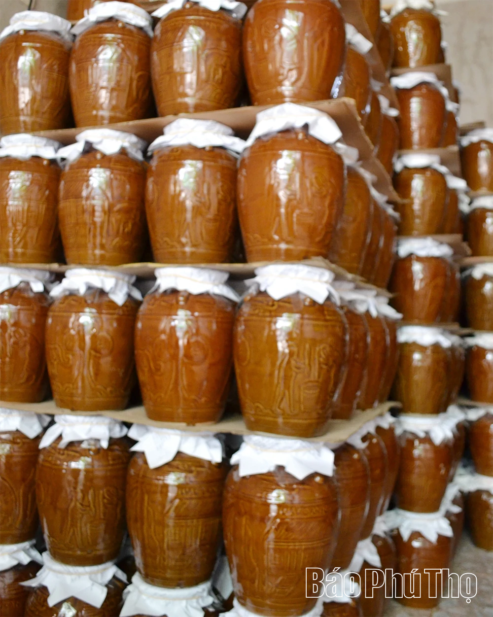 Ngất ngây loại rượu uống bằng cần tre của người Mường