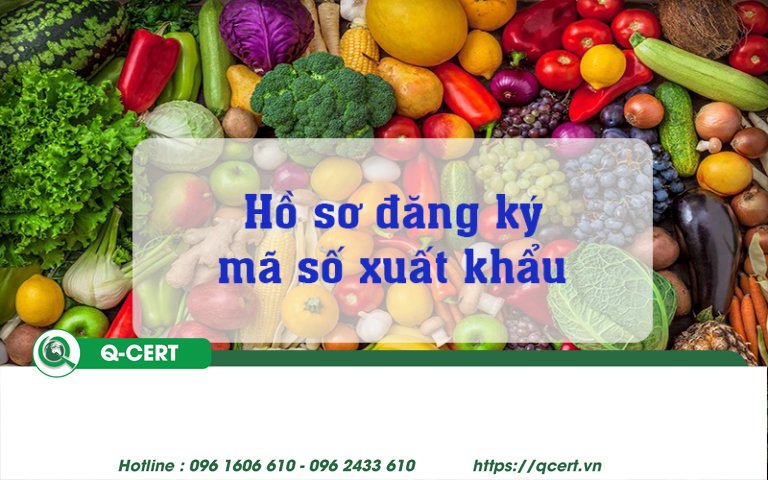 Đăng ký mã GACC: Hướng dẫn đầy đủ cho doanh nghiệp xuất khẩu nông sản