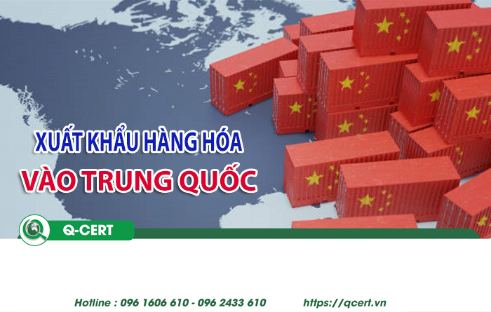 Đăng ký mã GACC: Hướng dẫn đầy đủ cho doanh nghiệp xuất khẩu nông sản