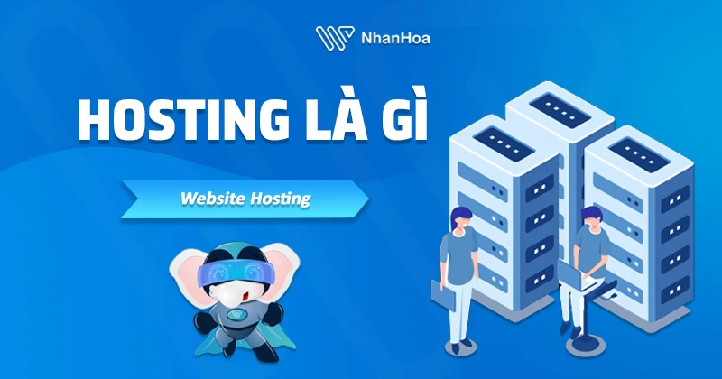 Server và hosting khác nhau thế nào? So sánh chi tiết từ Nhân Hòa